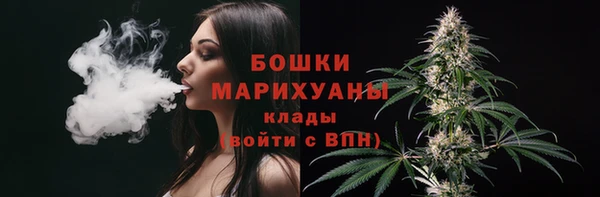 кокс Елизово